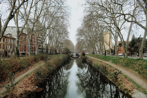 Toiletteur Toulouse